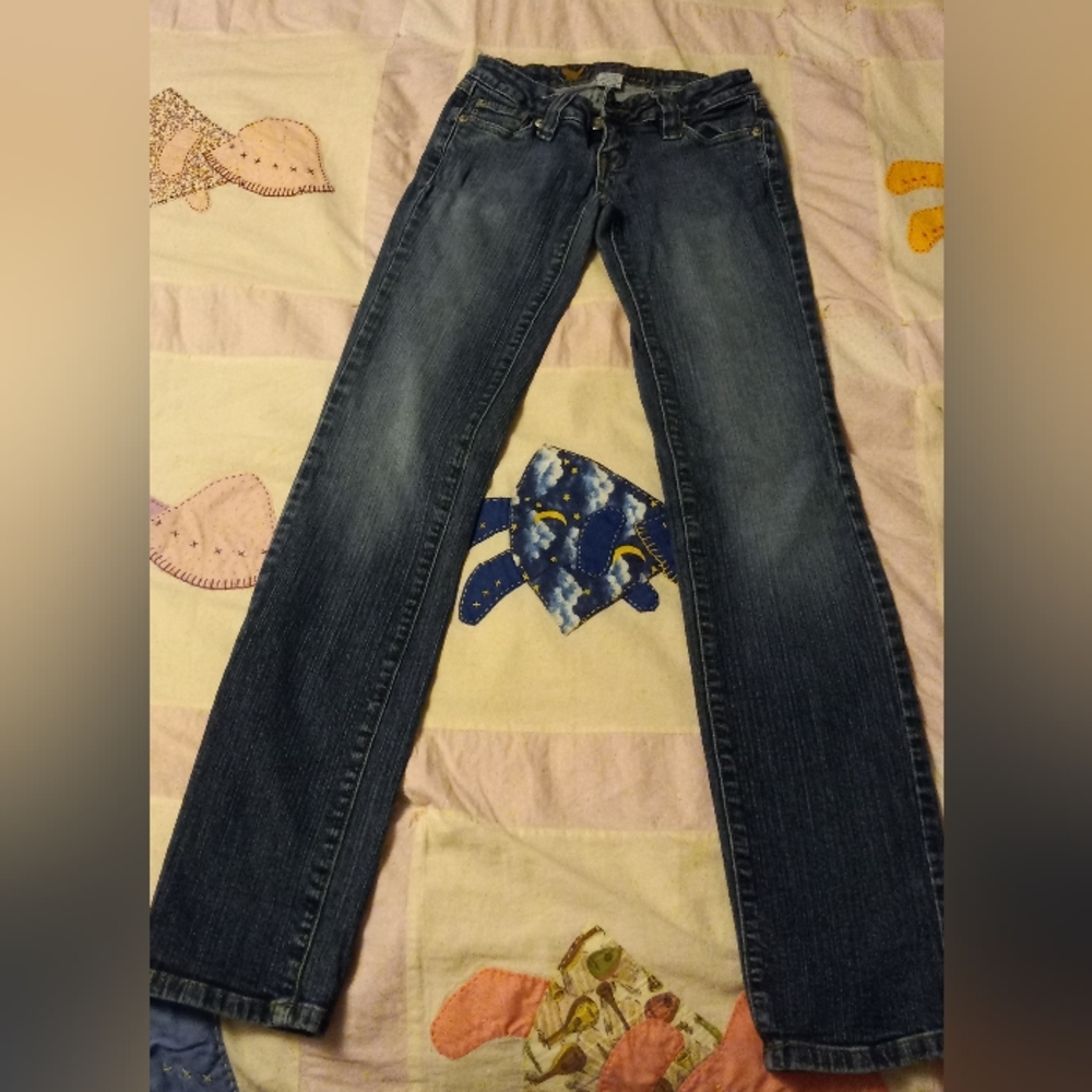 Wet Seal Skinny jeans